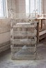 Toril Redalen_DSC7026.jpg