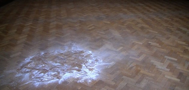 Chloë Brown exhibits her project at MOCAD - picture