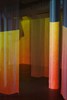 DSC00137.jpg