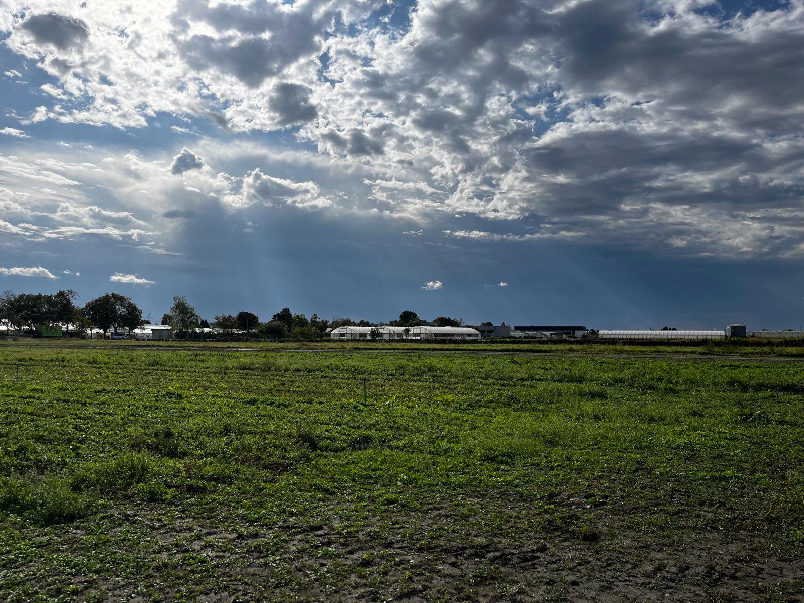site