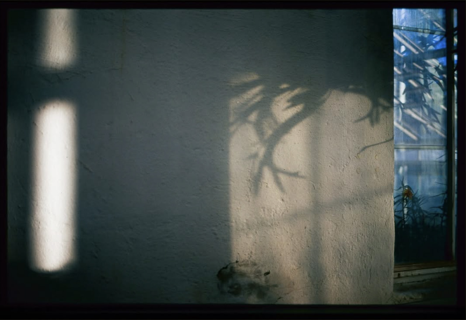 Only one of your kind