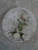 81 Rose Slip.JPG