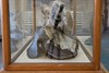 Neil Brownsword_DSC0693.jpg