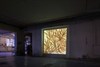 Andrew Brown_DSC0726.jpg