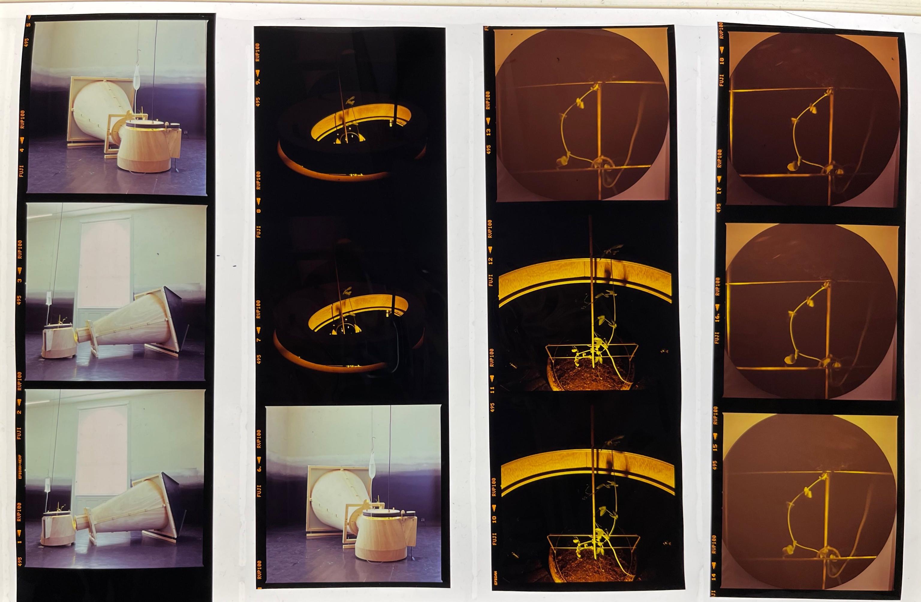 Microscopic projection experiments