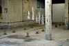 Laura Garbers_DSC2190.JPG