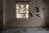 Tina Gibbs_DSC6870.jpg