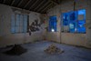 Tina Gibbs__DSC0551.jpg